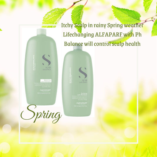 DRY SCALP Soothe with ALFAPARF Scalp Rebalance shampoo 